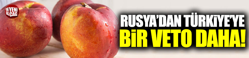 Rusya Türkiye'de gelen 20 ton nektarini geri gönderdi!