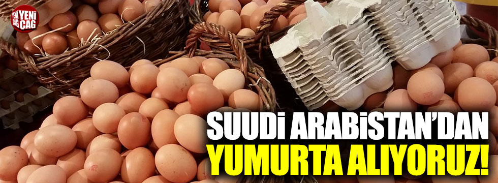 Suudi Arabistan'dan yumurta alıyoruz!