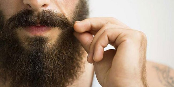 Erkeklerin sakalı köpek tüylerinden daha kirli