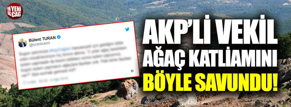 AKP'li vekil ağaç katliamını böyle savundu!