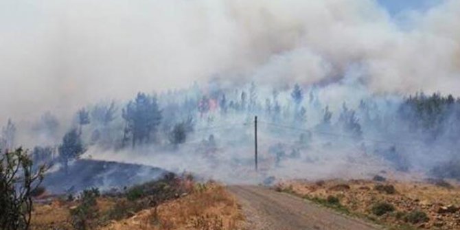 Mersin'de korkutan yangın: Ormanına sıçradı!