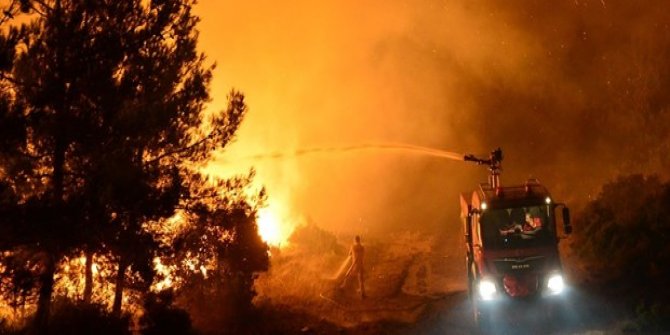 Çanakkale Eceabat'ta orman yangını