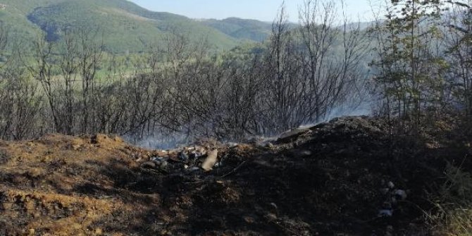 Biga'da orman yangını çıktı