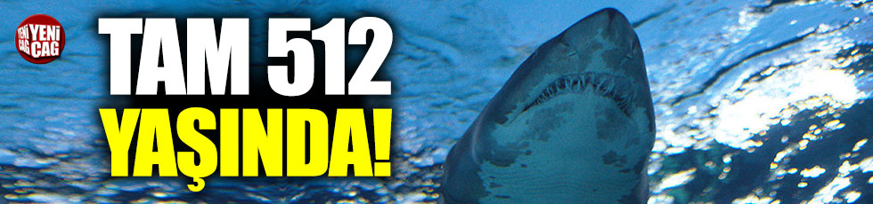 514 yaşında köpekbalığı tespit edildi