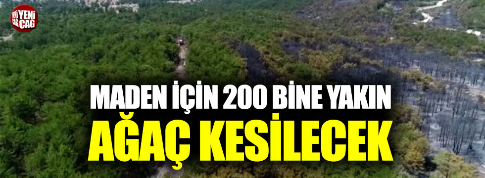 Eskişehir’de maden projeleri için 200 bine yakın ağaç kesilecek!
