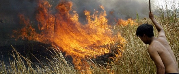 Amazon ormanlarında bu yıl 72 bin yangın çıktı