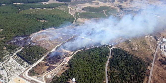 İzmir'de bir orman yangını daha!