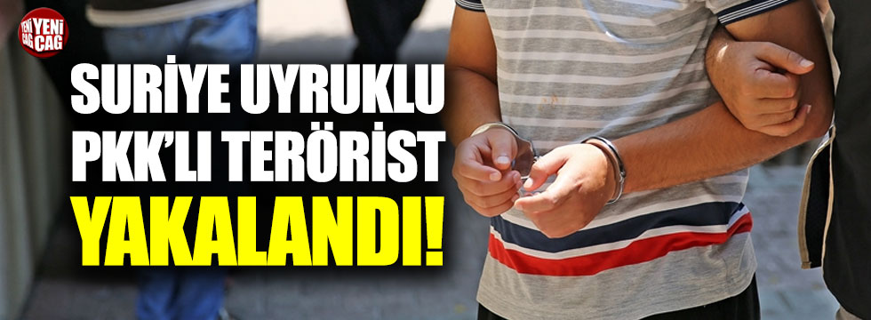 Suriye uyruklu PKK'lı terörist yakalandı
