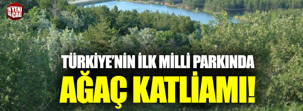 Türkiye’nin ilk milli parkında ağaç katliamı