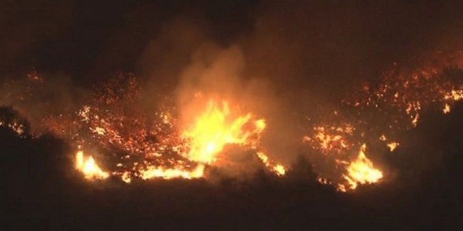 Bayraklı'da orman yangını; 2 kişiye gözaltı