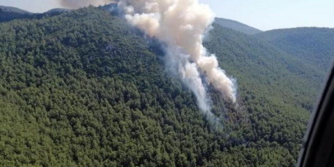 Milas'ta orman yangını