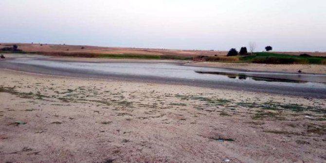 Kuruyan Oruçlu Göleti'nde balık ölümleri yaşanıyor