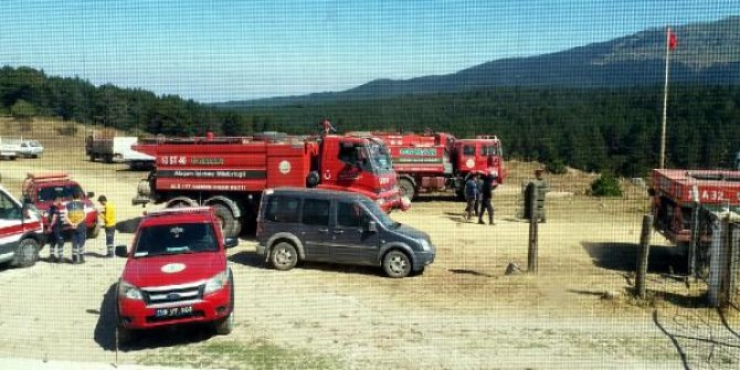Simav'da alevler 8 hektar çam ormanına zarar verdi