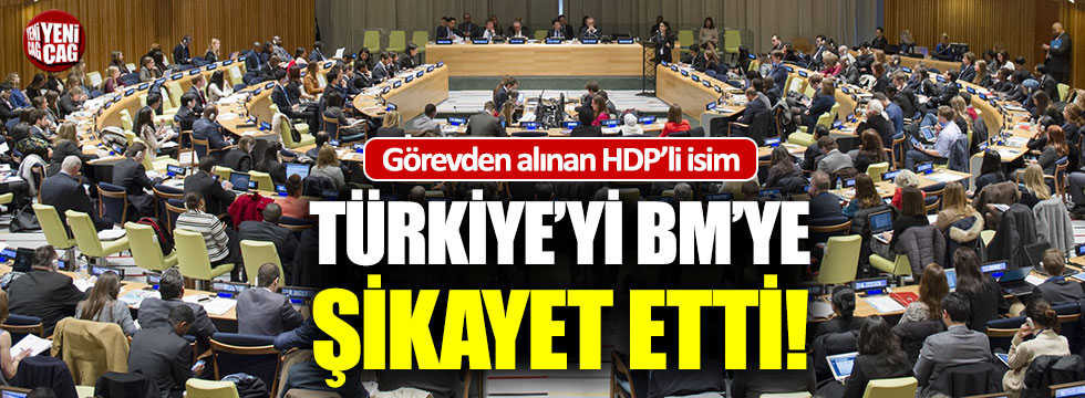 Görevden alınan HDP'li, Türkiye'yi BM'ye şikayet etti