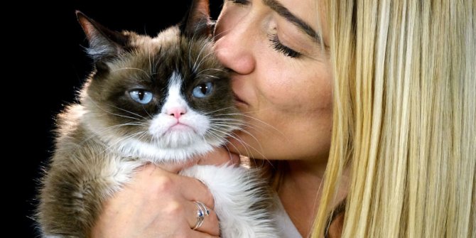 Kediler de sahipleriyle duygusal bağ kuruyor olabilir mi?