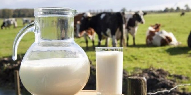 "Yılda kişi başı 270 kilogram süt ve süt ürünü tüketiyoruz"