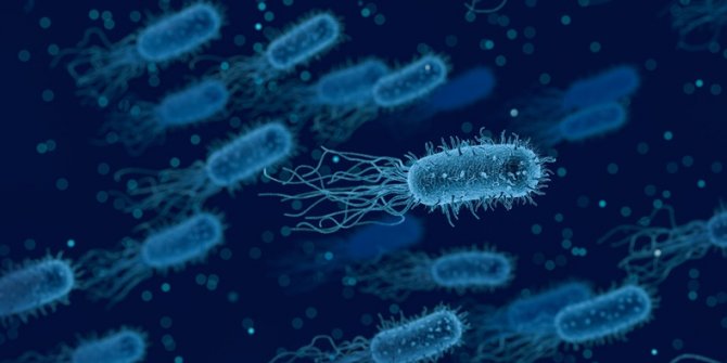 Bakteriler antibiyotikten kaçmak için şekil değiştiriyor!