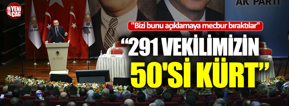 Erdoğan: "Bizi bunu açıklamaya mecbur bıraktılar"