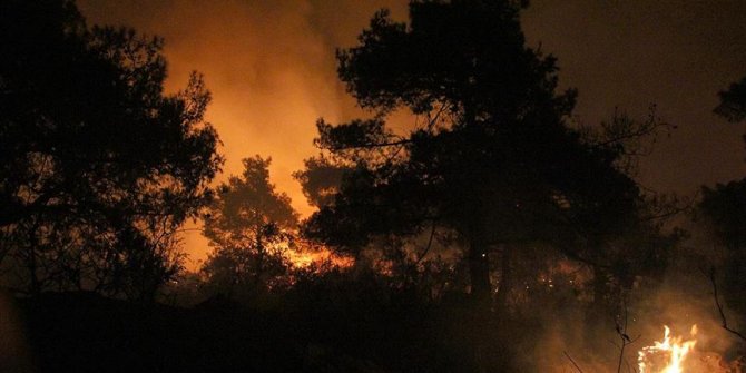 Mersin'de orman yangını