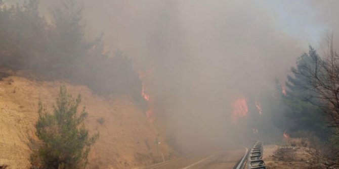 Osmaniye'de korkutan orman yangını!