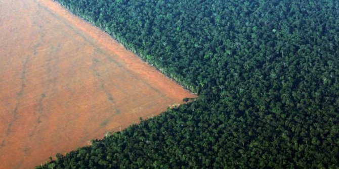 Amazon ormanlarında büyük tehlike