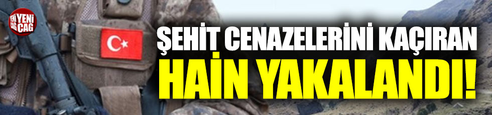 Şehit cenazelerini kaçıran PKK'lı terörist yakalandı!