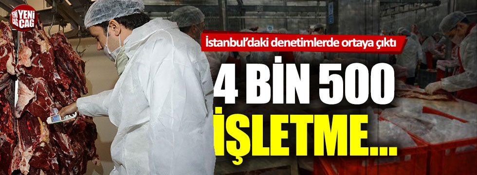 İstanbul'da gıda denetimi: 4 bin 500 işletmeye ceza