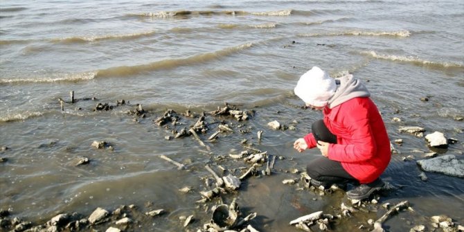 Van Gölü sahilinde insan kemikleri bulundu