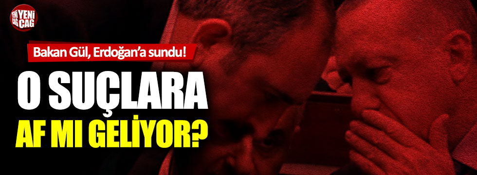 Bakan Gül, Erdoğan’a sundu! O suçlara af mı geliyor?