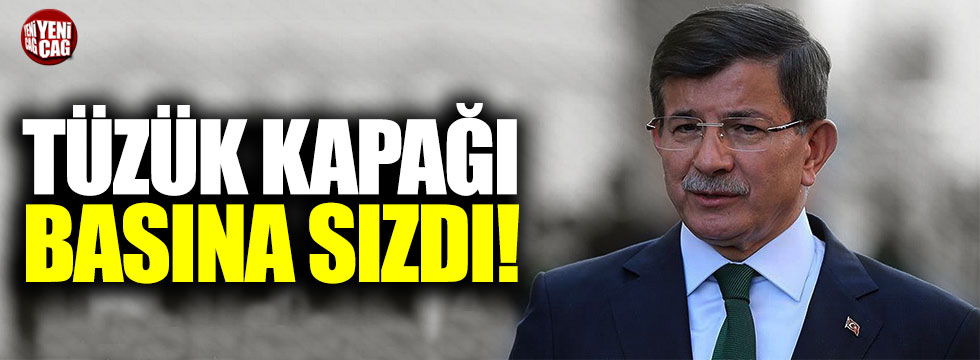 Ahmet Davutoğlu'nun partisinin tüzük kapağı sızdı