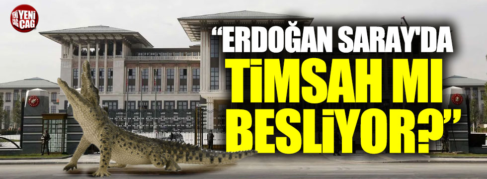 "Cumhurbaşkanı Erdoğan Saray'da timsah mı besliyor?"
