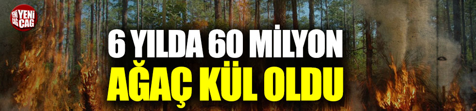 6 yılda 60 Milyon ağaç kül oldu!