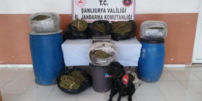 Şanlıurfa'da uyuşturucu çetesine 4 tutuklama