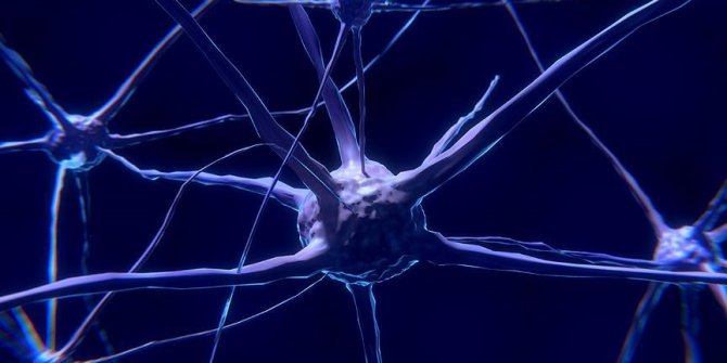 50 yaş öncesi yakalananların beyin hücreleri doğuştan hasarlı olabilir