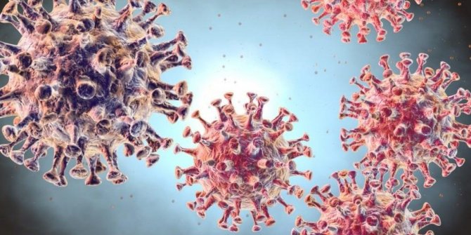 İsveç'te ilk kez yeni tip koronavirüs vakası görüldü