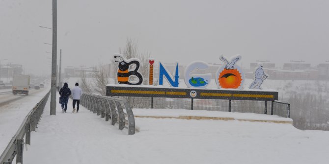 Bingöl'de 281 köy yolu kardan kapandı