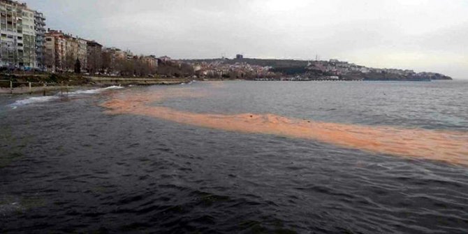 Marmara'da deniz renk değiştirdi! Uzmanlardan açıklama