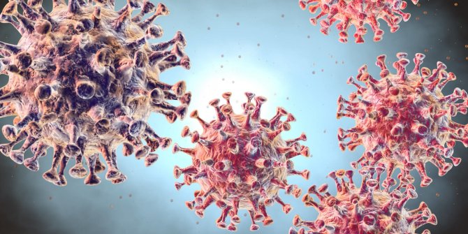 Koronavirüs salgını hakkında doğru bilinen yanlışlar neler?
