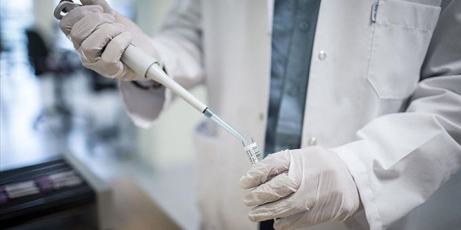 Türk doktor korona aşısı için harekete geçti
