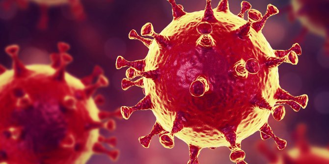 İngiliz şarkıcı Marianne Faithfull'da korona virüsü tespit edildi