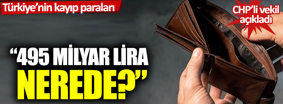 Türkiye’nin kayıp paraları: "495 milyar lira nerede?"