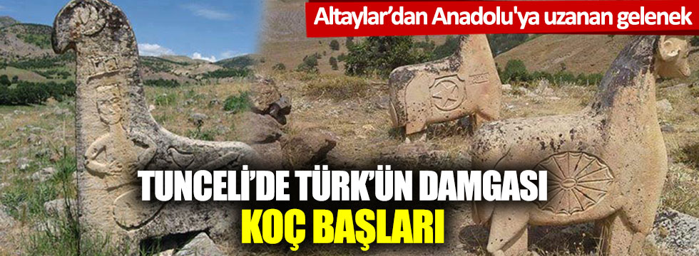 Altaylar'dan Anadolu'ya uzanan gelenek: Tunceli'de Türk'ün damgası; Koç başları