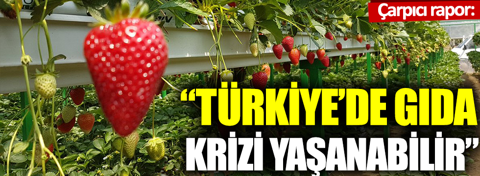 21. Yüzyıl Türkiye Enstitüsü'nden çarpıcı rapor: Türkiye'de gıda krizi yaşanabilir