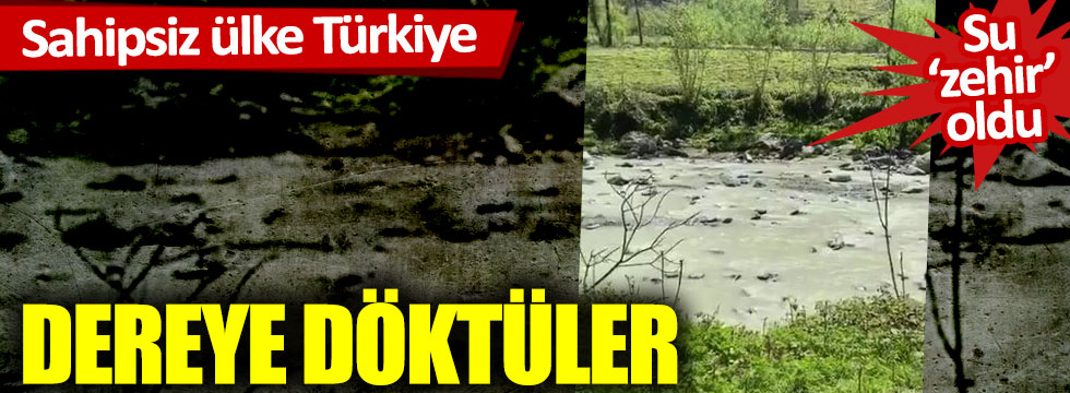 Sahipsiz ülke Türkiye: Dereye döktüler, su zehir oldu
