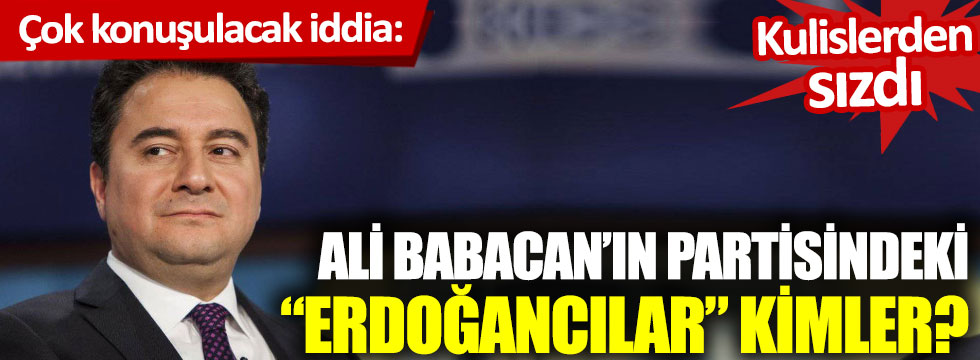 Çok konuşulacak iddia: Ali Babacan'ın partisindeki "Erdoğancılar" kimler?