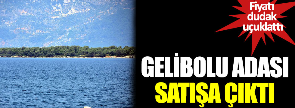 Gelibolu adası satışa çıktı, fiyatı da açıklandı
