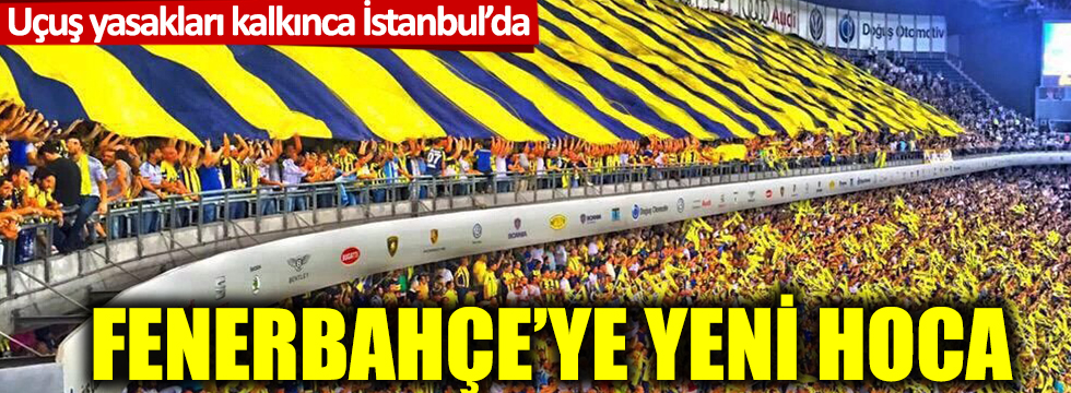 Fenerbahçe'ye yeni hoca