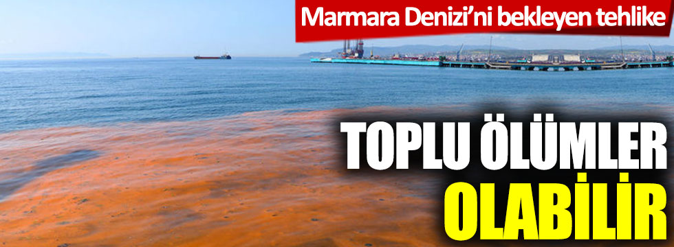 Marmara Denizi'ni bekleyen tehlike! Toplu ölümler olabilir