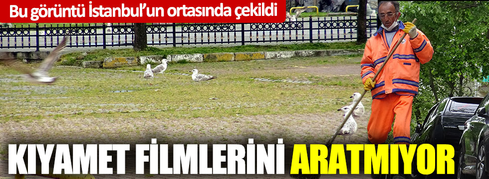 Bu görüntü İstanbul'un ortasında çekildi: Kıyamet filmlerini aratmıyor