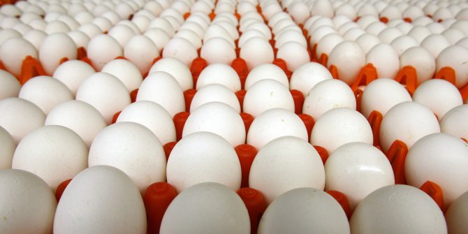 Türkiye'de yumurta üretiminde rekor